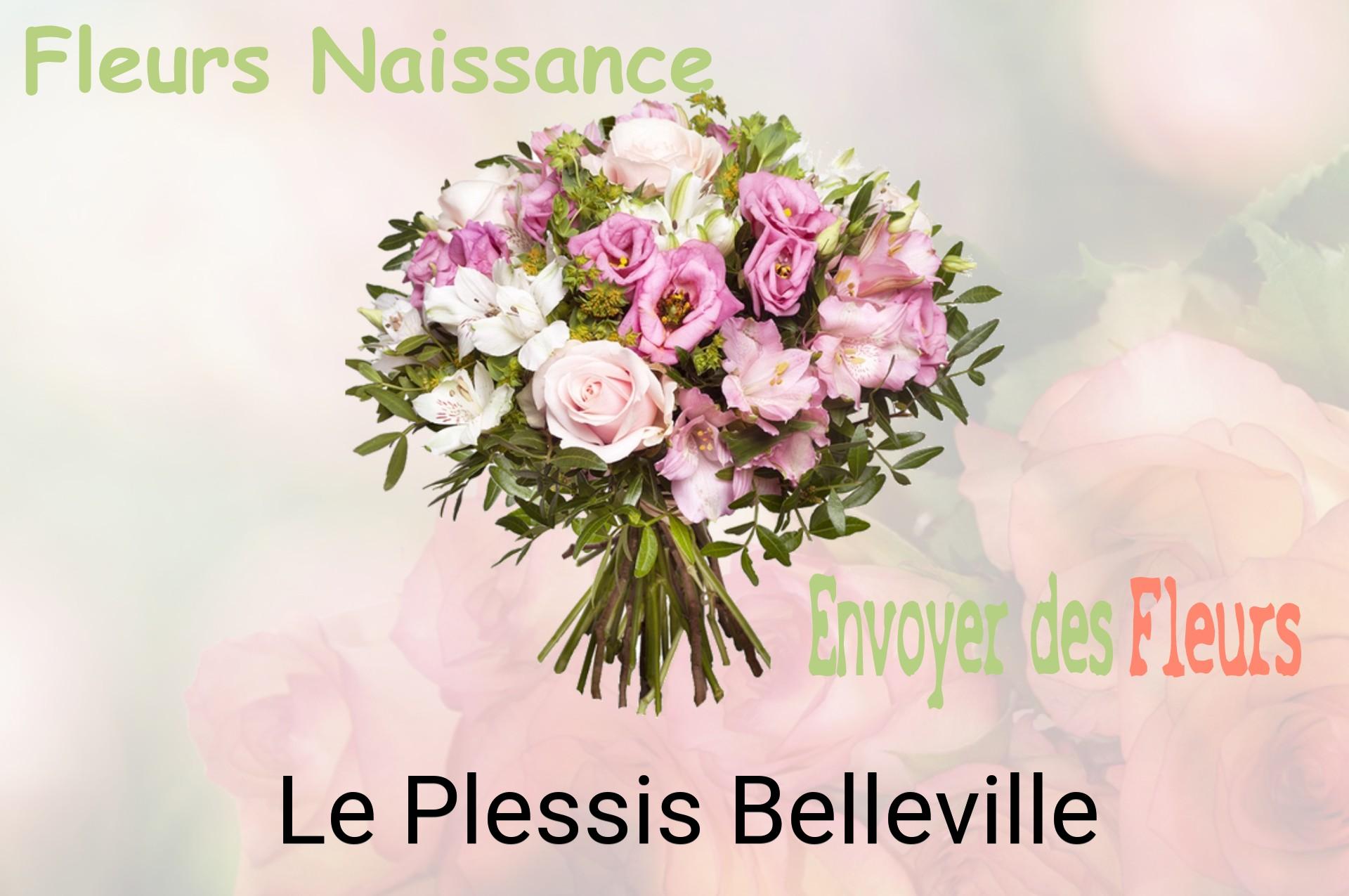 Bouquet de fleurs de naissance livré à Le Plessis-Belleville