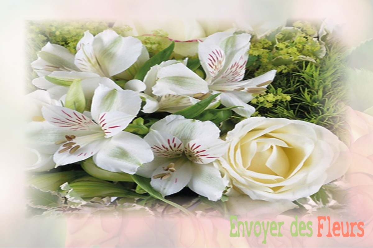 envoyer des fleurs à à LE-PLESSIS-BELLEVILLE