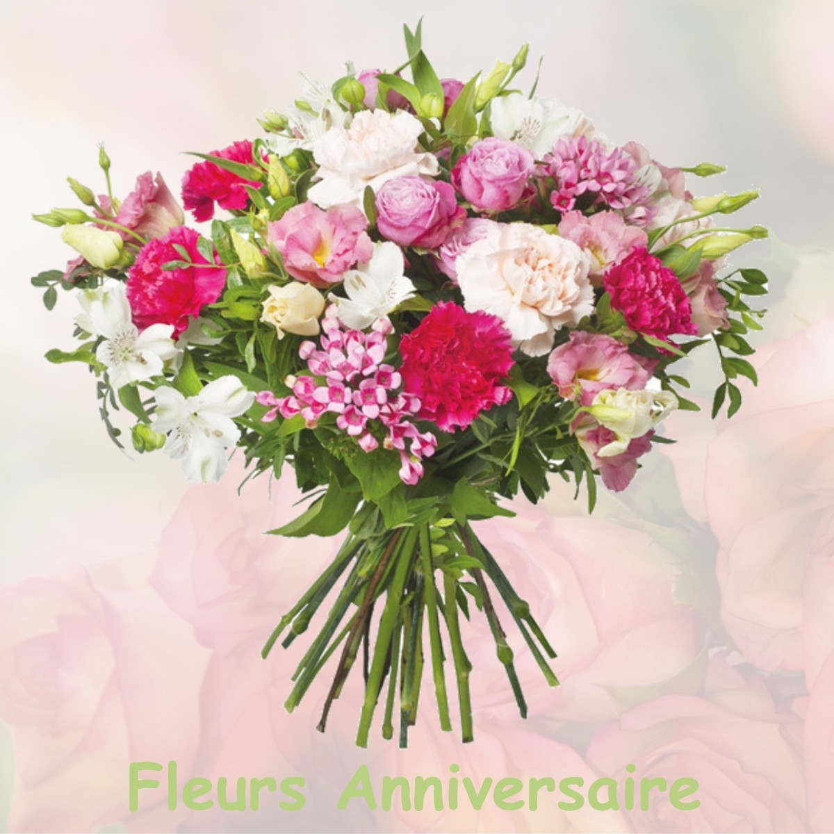 fleurs anniversaire LE-PLESSIS-BELLEVILLE